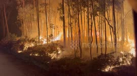 Grovedale CFA Crews Battle Intense Blaze in Smythesdale, Australia