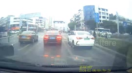 Chicken crashes into traffic light during unsteady landing attempt