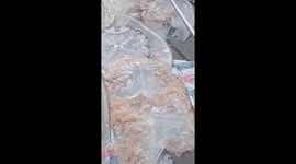 Thousands of jellyfish washed up on the coast of central Vietnam