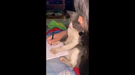 Artist learns to draw with beloved cat's paws