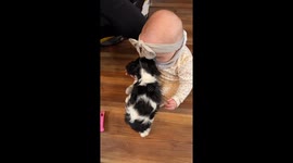 Puppy and Baby Become Fast Friends
