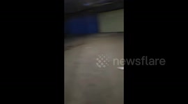 Man adopts a stray dog and gives it a home in Gansu, China