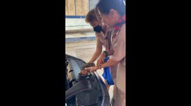 Teachers rescue stray kitten stuck in car engine