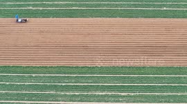 Spring Ploughing in A Field in Zaozhuang, China