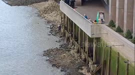 Police searching tower pier for Abdul Ezedi's body