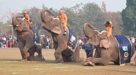 Elephant Festival celebrated in northern Laos