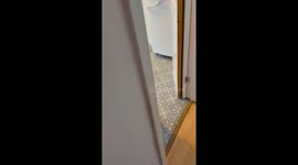 Adorable toddler caught red-handed in the act of not-so-sneaky muffin hijinks