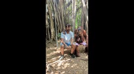 Orangutan strikes a pose: playful encounter with Kavin in Bangkok