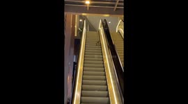 Tired Kitty Goes Wrong Way on Escalator