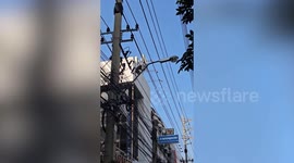 Monkey climbs across power lines in Bangkok