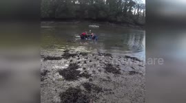 Divers rescue dolphin stuck in shallows in Cornwall, UK