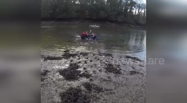 British Divers Save Stranded Dolphin in Cornwall, UK