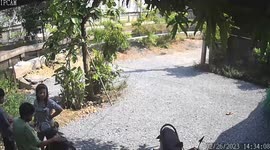 Bungling moto rider starts bike but lets go and it crashes into wall
