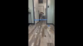 Australian shepherd showcases impressive leaps during tape challenge