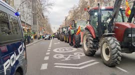Hundreds of farmers bring Madrid to standstill in protest over EU policies