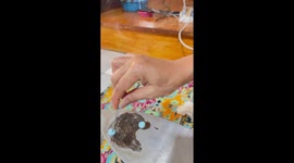 This cleaning hack shows how to wipe burned iron with painkiller tablets
