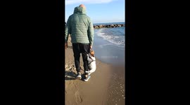 Dog Won't Let Go Of Stick