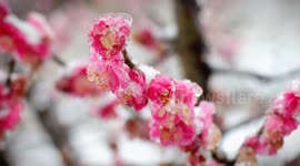 Cold wave hit Yichang, China