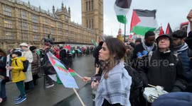 Protesters in London call for MPs to vote for ceasefire in Gaza