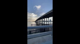 Man Catches Grapes Thrown From Bridge