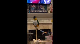 'YEAH!' - Groovy Caique can't help but vibe to Usher's electrifying halftime performance