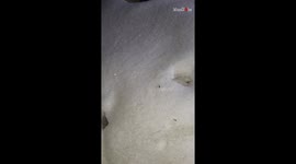 Blowing bubbles in -25C weather creates stunning results