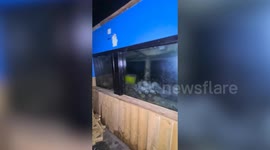 Urban explorer films inside the UK’s first ever SeaLife centre which has been abandoned for six years