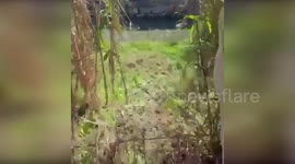 Over $60 Million Worth Of Drugs Intercepted By Authorities in Algeciras, Spain