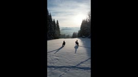 Mother records beautiful footage of her kids riding through snowy landscape on horseback