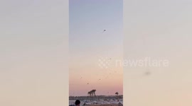 Palestinian Refugees Fly Kites At Battle's Edge