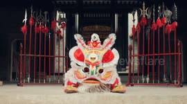 A glimpse of Guangdong Lion Dance