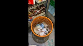 Cat Cuddles in Basket Full of Cash