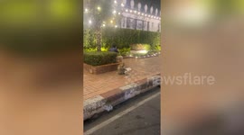 Give me my prima-vacy! Angry monkey charges at person recording him