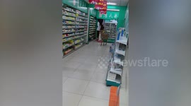 Deer startles pharmacist and customer after walking into drug store