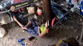 Snake leaps onto woman relaxing in hammock
