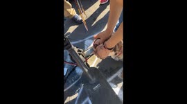 Dog takes a bite out of scooter wires in Los Angeles street fiasco