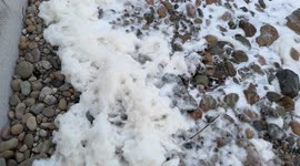 Sea Foam Envelops Santa Barbara Beaches Due to Organic Matter and Ocean Agitation