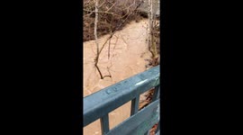 Body of Woman Found in Mission Creek in Santa Barbara During Storm Swell