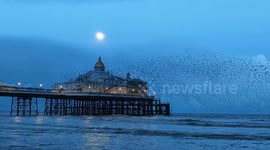 Full moon and starling murmuration over Eastbourne pier in east Sussex uk