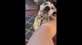 How to Know When you Find the Good Scratch Spot