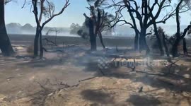 Brave Firefighters Battle Massive Bushfire Near Beaufort, Australia