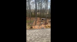 Girl Shares Hair Tie With Pony