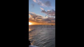 Starling murmuration above the Brighton Pier in Brighton today at approximately 17.20 pm . Many people taking videos