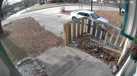 Dog Launches Himself At Passing Car