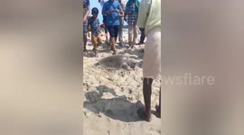 Tamil Nadu fishermen accidentally catch rare Olive Ridley turtles release the sea