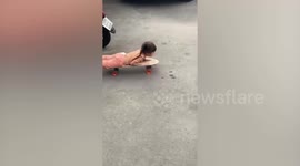 Toddler enjoys rolling on skateboard but bumps into parked car