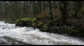 The River Fowey flowing fast at Golitha Falls in Cornwall after heavy recent heavy rainfall