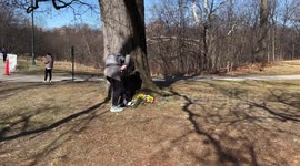 People visit memorial for Flaco, the owl who escaped from the Central Park Zoo