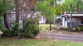 Australian homeowner amazed to find kangaroos battling in front yard