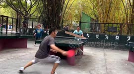 Chinese man triumphs using plank as makeshift table tennis bat against opponents